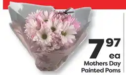 Weis Markets Mothers Painted Poms offer