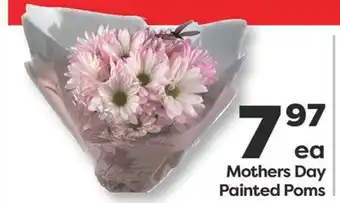 Weis Markets Mothers Painted Poms offer