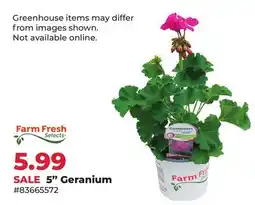 Runnings Farm Fresh Selects 5 Geranium offer