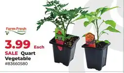 Runnings Farm Fresh Selects Quart Vegetable offer