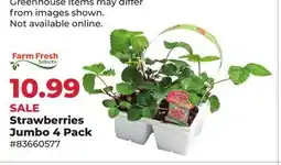 Runnings Farm Fresh Selects Strawberries Jumbo offer