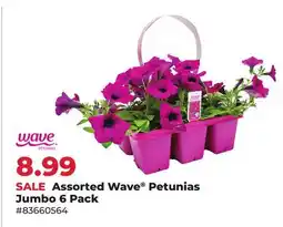 Runnings Wave Petunias Assorted Wave Petunias Jumbo offer