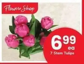 Safeway 7 Stem Tulips offer
