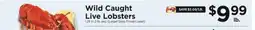 ShopRite Wild Caught Live Lobsters offer