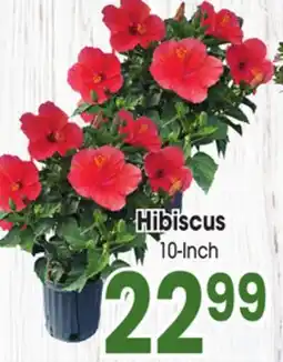 Jewel-Osco Hibiscus offer