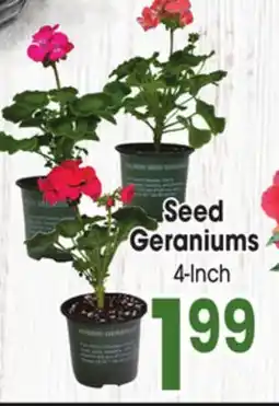 Jewel-Osco Seed Seed Geraniums offer