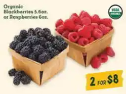 Sprouts Farmers Market Organic blackberries or raspberries offer