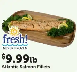 Fareway Atlantic salmon fillets offer