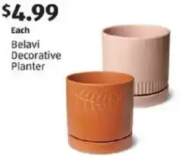 Aldi Belavi decorative planter offer