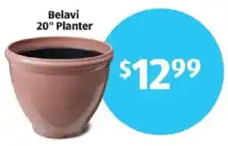 Aldi Belavi planter offer
