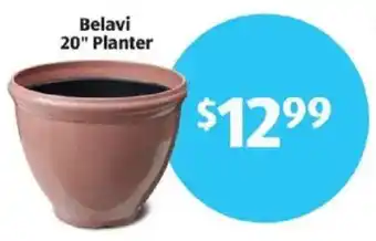 Aldi Belavi planter offer
