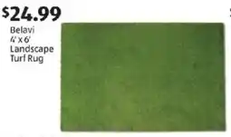 Aldi Belavi 4x6' landscape turf rug offer