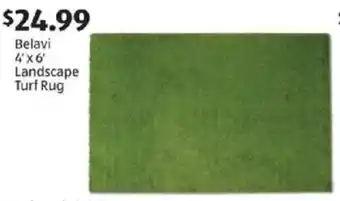 Aldi Belavi 4x6' landscape turf rug offer