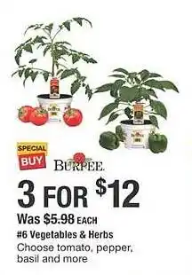 The Home Depot Vegetables & herbs offer