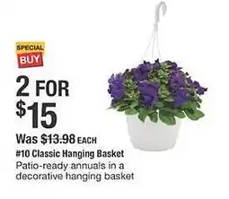 The Home Depot Classic hanging basket offer