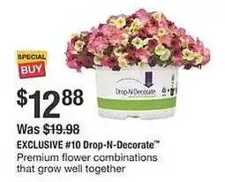 The Home Depot Drop-n-decorate offer