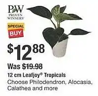 The Home Depot Leafjoy tropicals offer