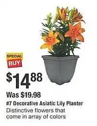 The Home Depot Decorative asiatic lily planter offer