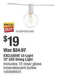 The Home Depot 12-Light 12' LED String Light offer
