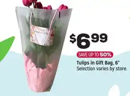 Grocery Outlet Tulips in Gift Bag offer