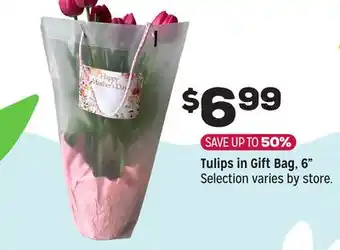 Grocery Outlet Tulips in Gift Bag offer