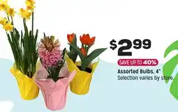 Grocery Outlet Assorted Bulbs, 4 offer