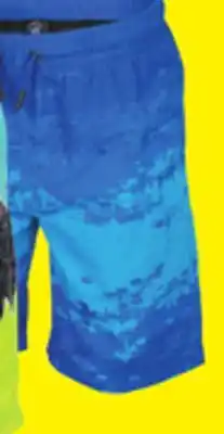 Big 5 Hang Ten Boys' Printed Swim Shorts offer