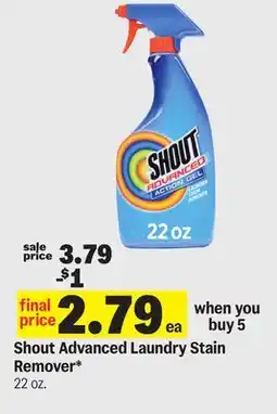 Meijer Shout Advanced Laundry Stain Remover offer