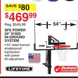 Dunham's Sports LIFETIME SFS POWER 54 91003 IN-GROUND SYSTEM offer