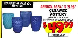 Ollie's CERAMIC POTTERY offer