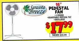 Ollie's PEDESTAL FAN offer