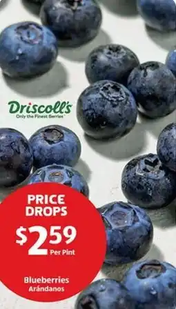 Aldi Blueberries offer