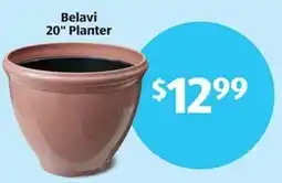 Aldi Belavi planter offer