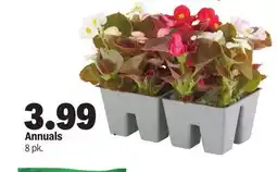 Meijer Annuals offer