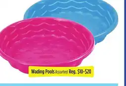 Dollar General Wading Pools offer