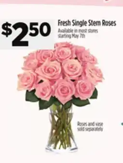 Dollar General Roses and vase Fresh Single Stem Roses offer