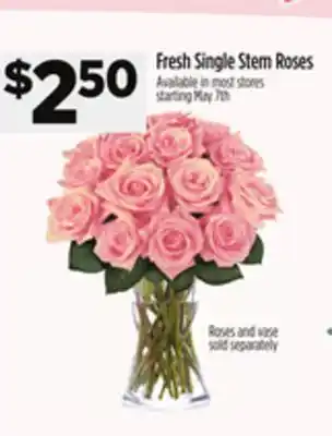 Dollar General Roses and vase Fresh Single Stem Roses offer