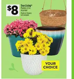 Dollar General True Living Planters offer