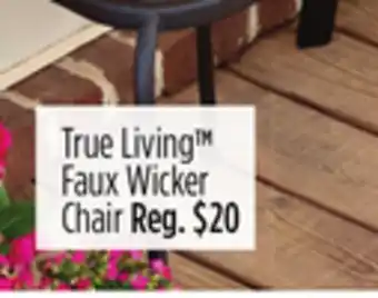 Dollar General True Living Faux Wicker Chair offer