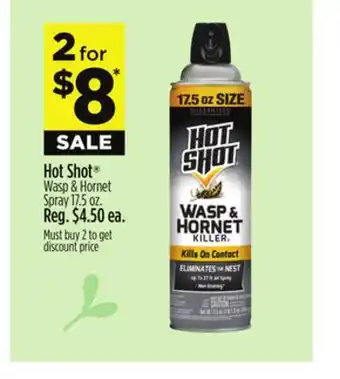 Dollar General Hot Shot Wasp & Hornet Spray offer