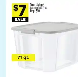 Dollar General True Living Latching Tote offer