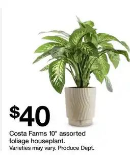 Target Costa Farms 10 assorted foliage houseplant offer