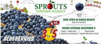 Sprouts Farmers Market Blueberries offer