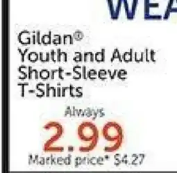 Hobby Lobby Gildan Youth and Adult Short-Sleeve T-Shirts offer