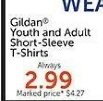Hobby Lobby Gildan Youth and Adult Short-Sleeve T-Shirts offer