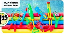 Dollar Tree H₂O Blasters or Pool Toys offer
