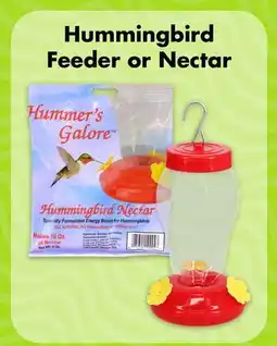 Dollar Tree Hummingbird Feeder or Nectar offer