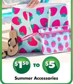 Dollar Tree Summer Accessories offer