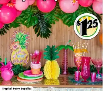 Dollar Tree Tropical Party Supplies offer