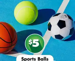 Dollar Tree Sports Balls offer